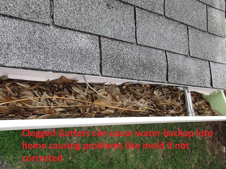 Clogged Gutters